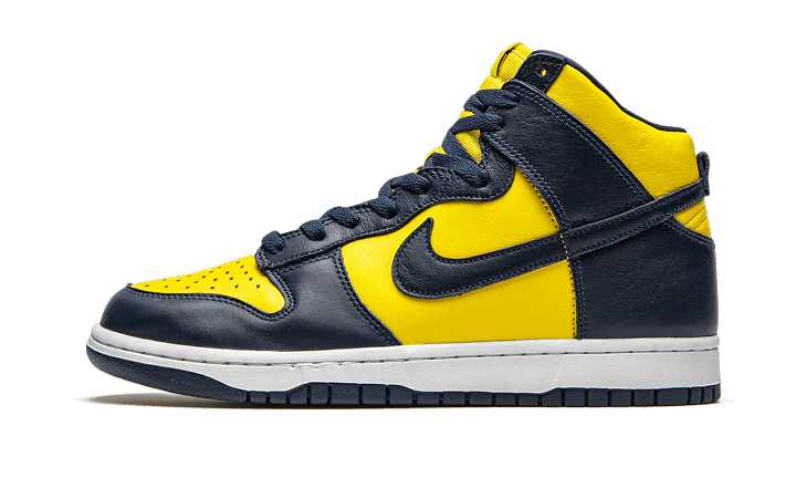 Nike Dunk High Michigan 43