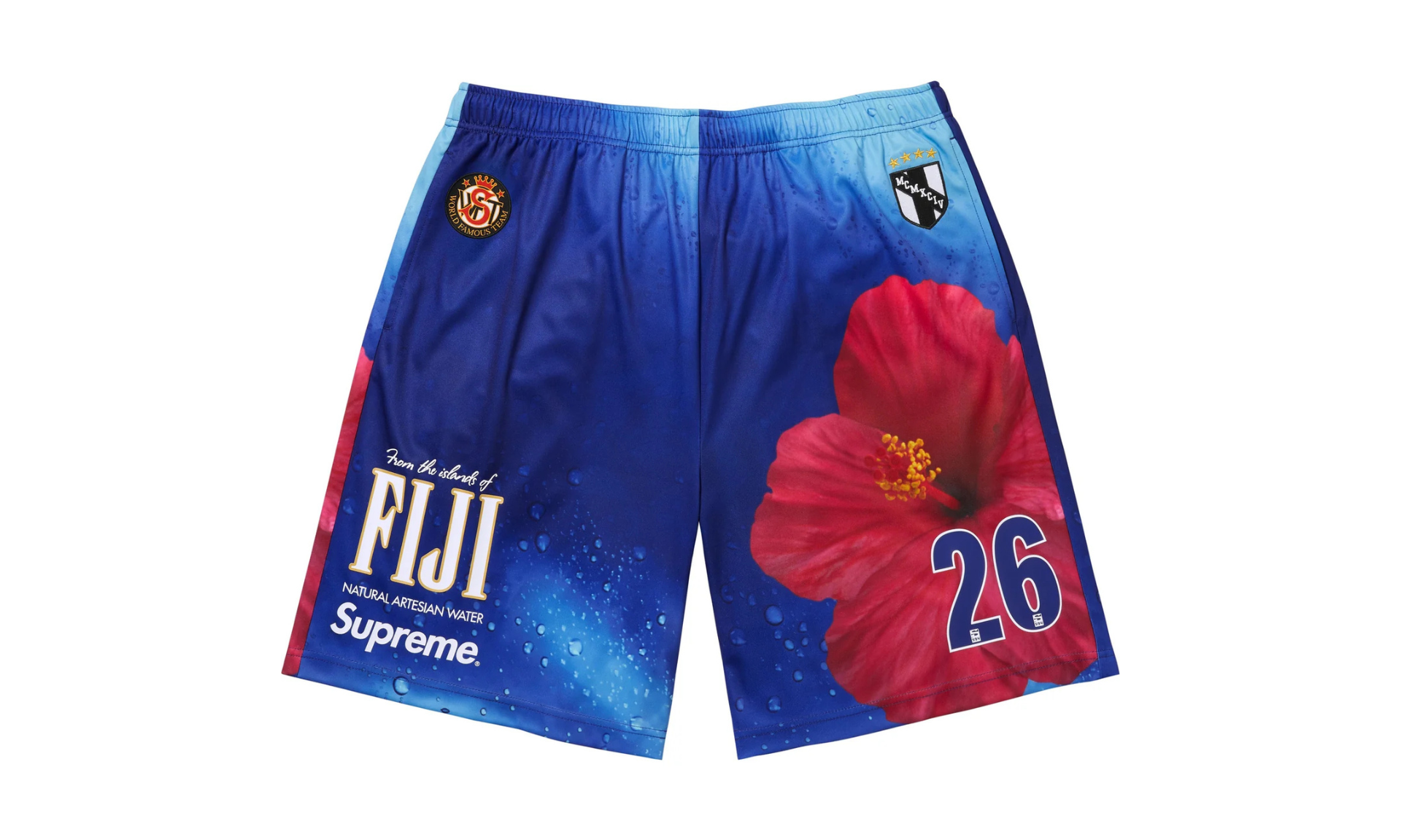 Supreme Fiji Soccer Short Multicolor