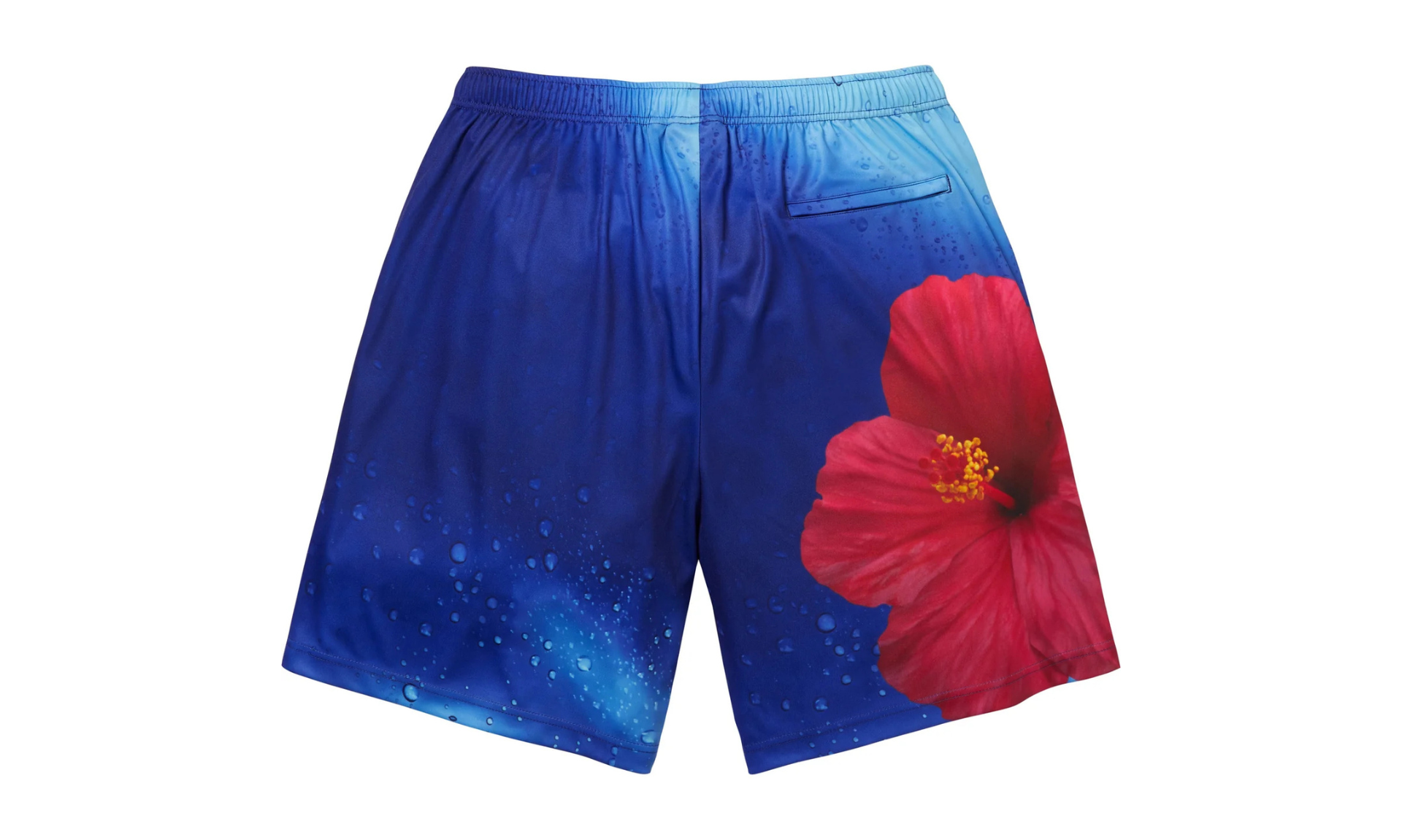 Supreme Fiji Soccer Short Multicolor